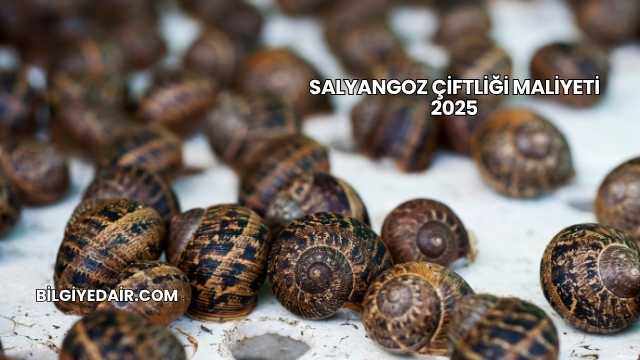 Salyangoz Çiftliği Maliyeti 2025