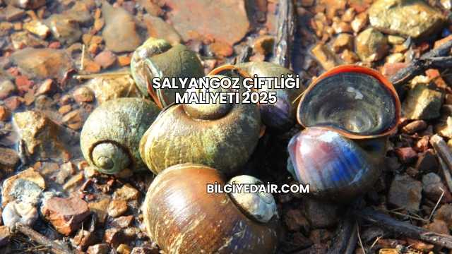 Salyangoz Çiftliği Maliyeti 2025