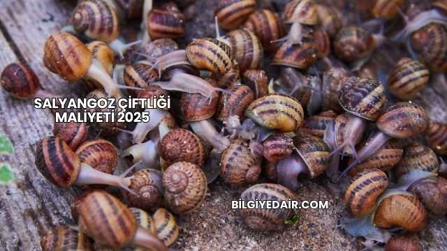 Salyangoz Çiftliği Maliyeti 2025