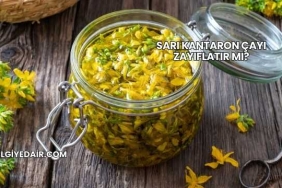 Sarı Kantaron Çayı Zayıflatır mı?