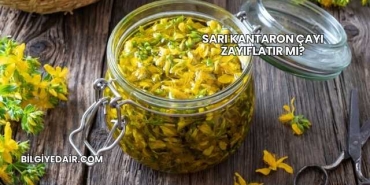 Sarı Kantaron Çayı Zayıflatır mı?
