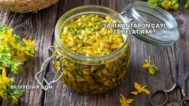 Sarı Kantaron Çayı Zayıflatır mı?