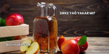 Sirke Yağ Yakar mı?