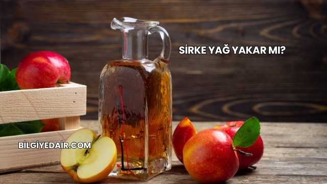Sirke Yağ Yakar mı?