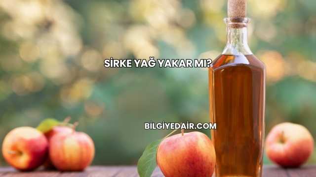 Sirke Yağ Yakar mı?