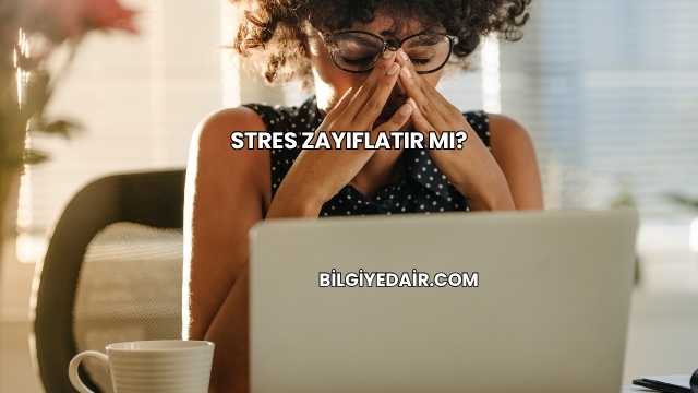 Stres Zayıflatır mı?