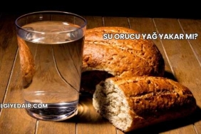 Su Orucu Yağ Yakar mı?