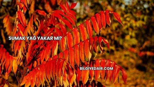 Sumak Yağ Yakar mı?