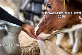 Süt Sağım Tesisi Maliyeti 2025