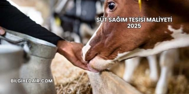 Süt Sağım Tesisi Maliyeti 2025