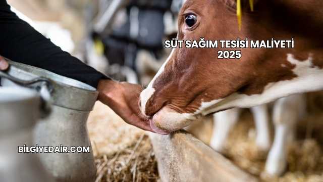 Süt Sağım Tesisi Maliyeti 2025
