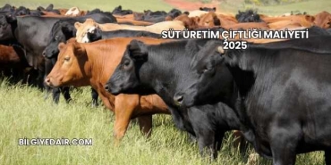 Süt Üretim Çiftliği Maliyeti 2025