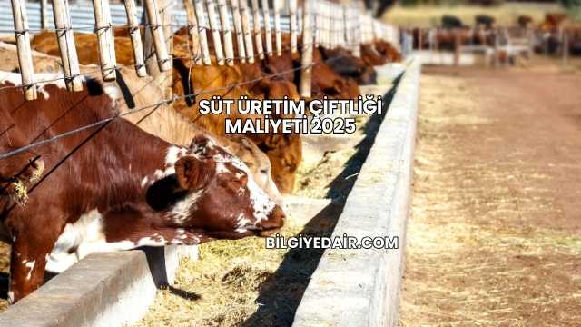 Süt Üretim Çiftliği Maliyeti 2025