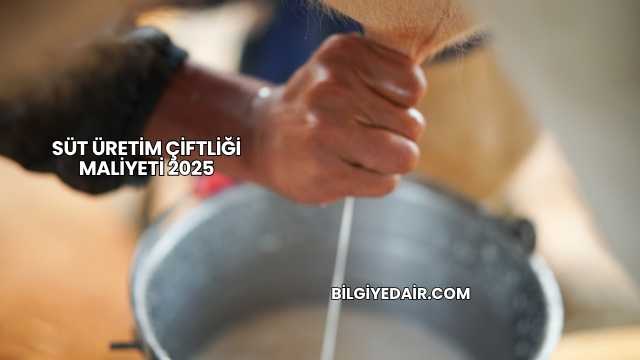 Süt Üretim Çiftliği Maliyeti 2025