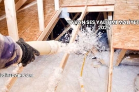 Tavan Ses Yalıtımı Maliyeti 2025