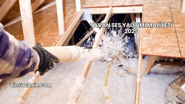 Tavan Ses Yalıtımı Maliyeti 2025