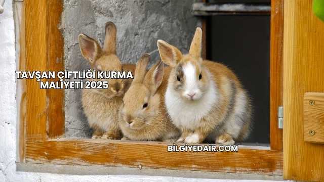 Tavşan Çiftliği Kurma Maliyeti 2025
