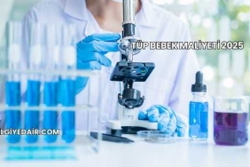 Tüp Bebek Maliyeti 2025