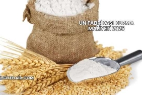 Un Fabrikası Kurma Maliyeti 2025