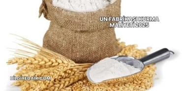 Un Fabrikası Kurma Maliyeti 2025