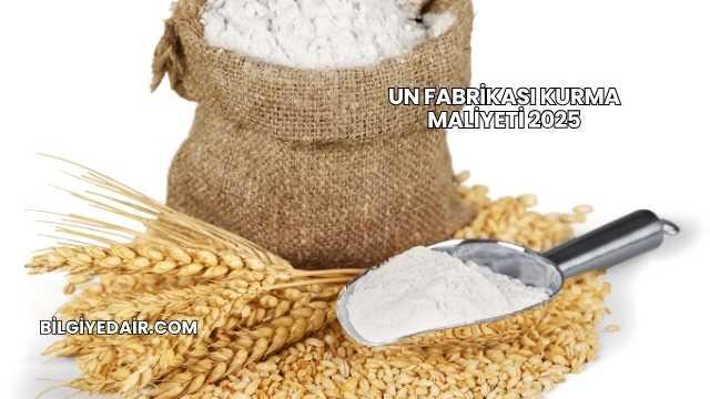 Un Fabrikası Kurma Maliyeti 2025