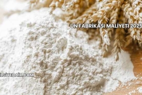Un Fabrikası Maliyeti 2025