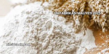 Un Fabrikası Maliyeti 2025