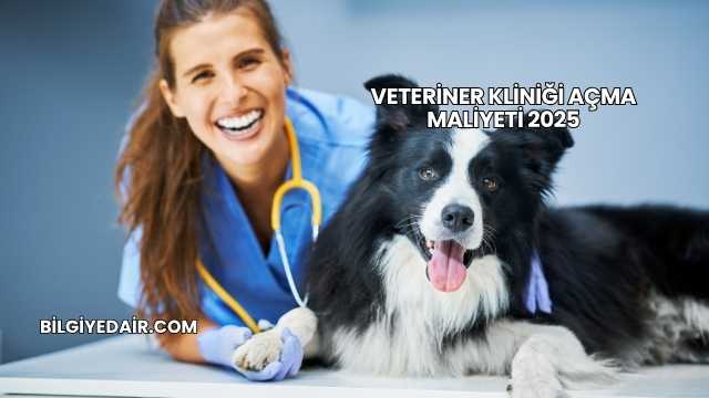 Veteriner Kliniği Açma Maliyeti 2025