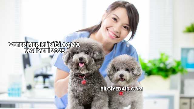 Veteriner Kliniği Açma Maliyeti 2025