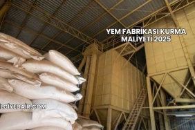 Yem Fabrikası Kurma Maliyeti 2025