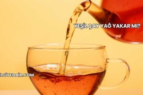 Yeşil Çay Yağ Yakar mı?