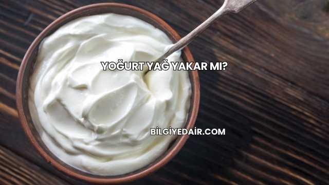 Yoğurt Yağ Yakar mı?