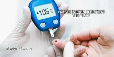 Yüksek İnsülin Belirtileri Nelerdir?