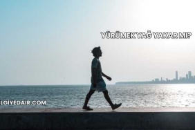 Yürümek Yağ Yakar mı?