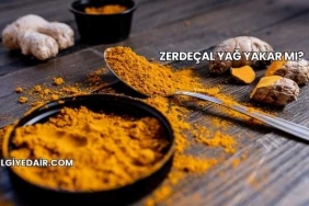 Zerdeçal Yağ Yakar mı?