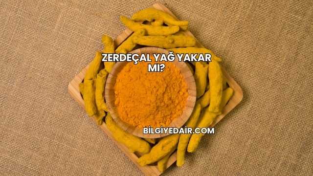 Zerdeçal Yağ Yakar mı?