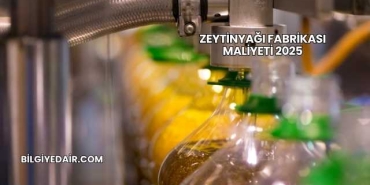 Zeytinyağı Fabrikası Maliyeti 2025