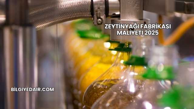 Zeytinyağı Fabrikası Maliyeti 2025