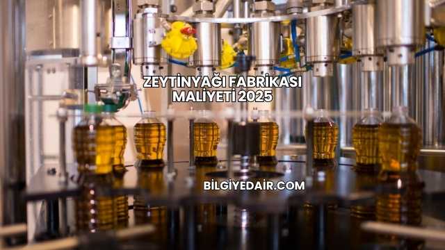 Zeytinyağı Fabrikası Maliyeti 2025