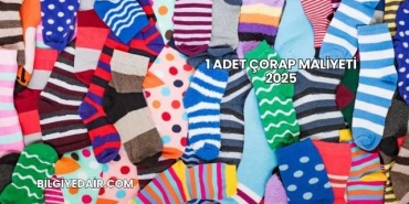 1 Adet Çorap Maliyeti 2025