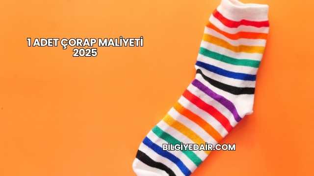 1 Adet Çorap Maliyeti 2025