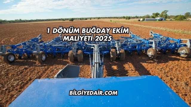 1 Dönüm Buğday Ekim Maliyeti 2025