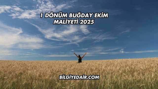 1 Dönüm Buğday Ekim Maliyeti 2025