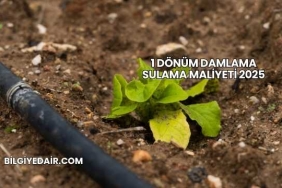 1 Dönüm Damlama Sulama Maliyeti 2025
