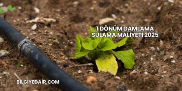 1 Dönüm Damlama Sulama Maliyeti 2025