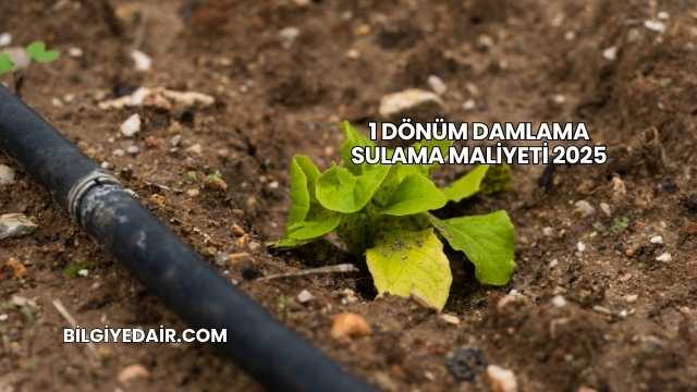 1 Dönüm Damlama Sulama Maliyeti 2025