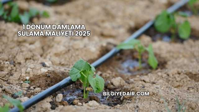 1 Dönüm Damlama Sulama Maliyeti 2025