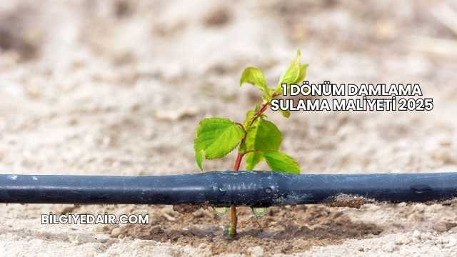 1 Dönüm Damlama Sulama Maliyeti 2025