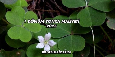 1 Dönüm Yonca Maliyeti 2025