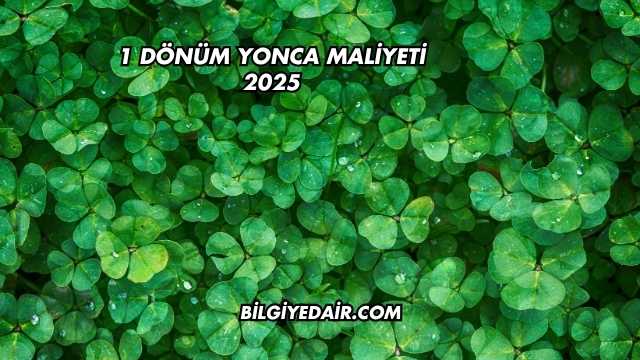1 Dönüm Yonca Maliyeti 2025